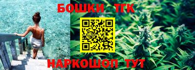 Альфа ПВП Моздок